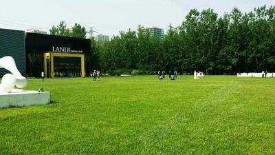 北京蓝地时尚庄园西侧草坪（森林背景）基础图库7